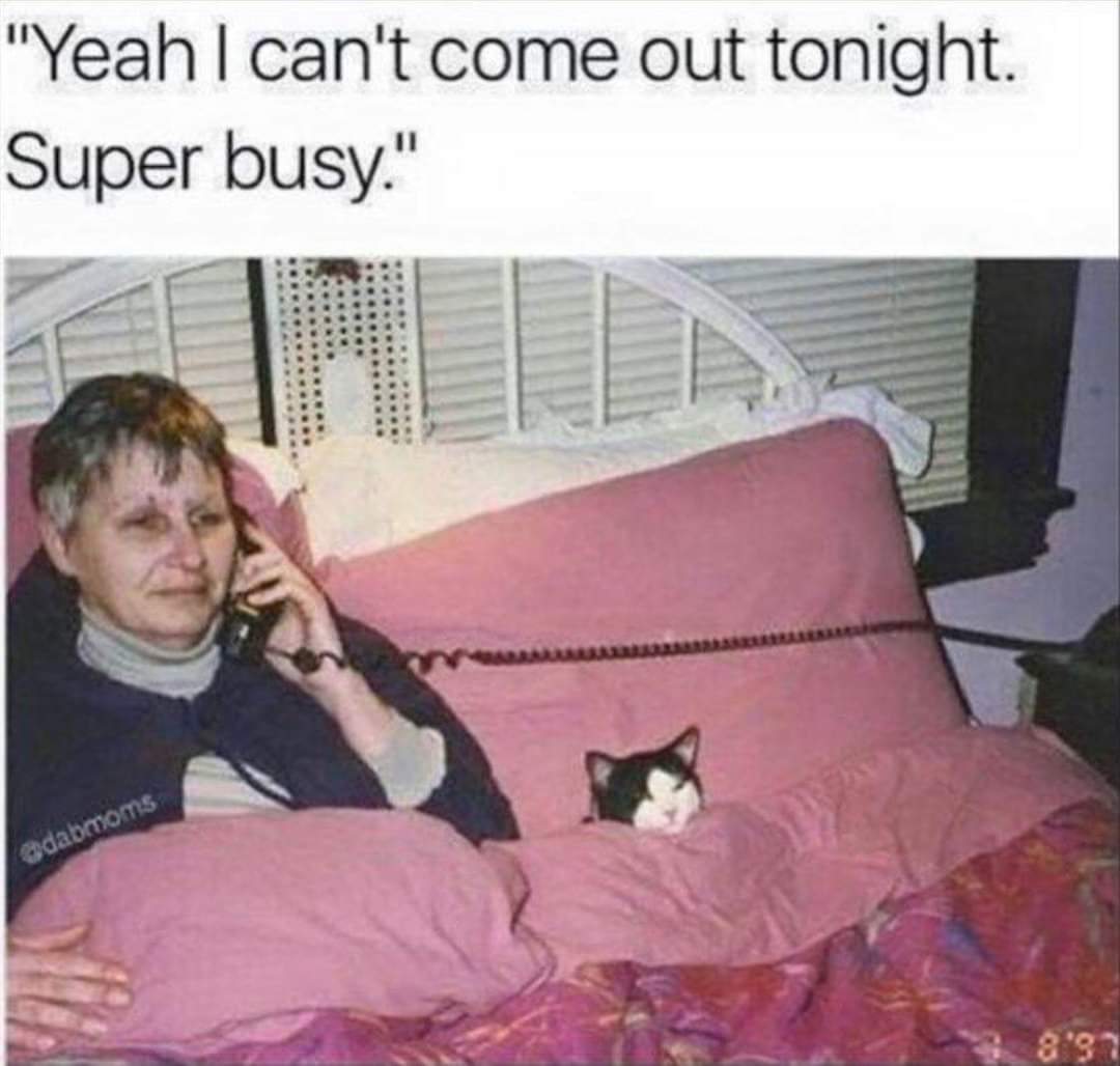 SAhomecatmom's tweet photo. Happy Mew Year everyone!😺
#HappyNewYear2021 #StayAtHomeCatMom #CatsOfTwitter https://t.co/KvGkKiQetg