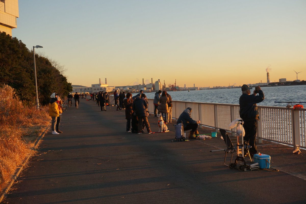 あけましておめでとうございます。
ふれーゆで初日の出を拝みました✨

私は釣りはしていませんが、まあまあ居る釣り人…
魚もお休み中のようでした😇
