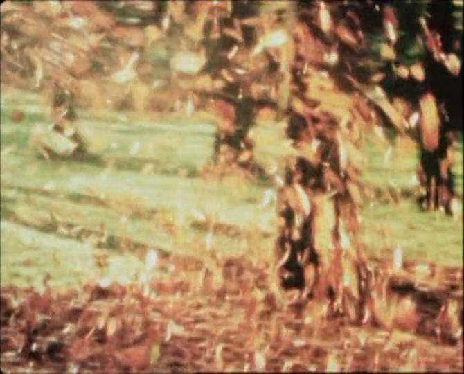 63. Konstellationen (Helga Fanderl, 2013-2016-???)