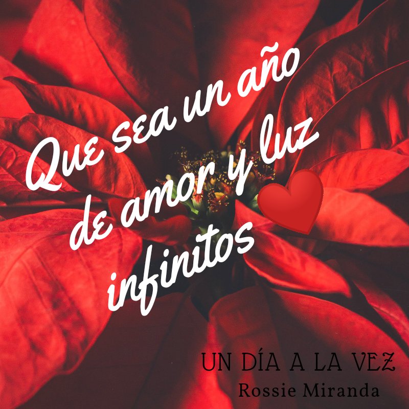 No sabemos que nos deparará el 2021...pero eso sí que traiga mucha luz y amor ❤️