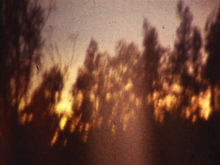 55. Old Redwood Series (Myron Ort, 1979)