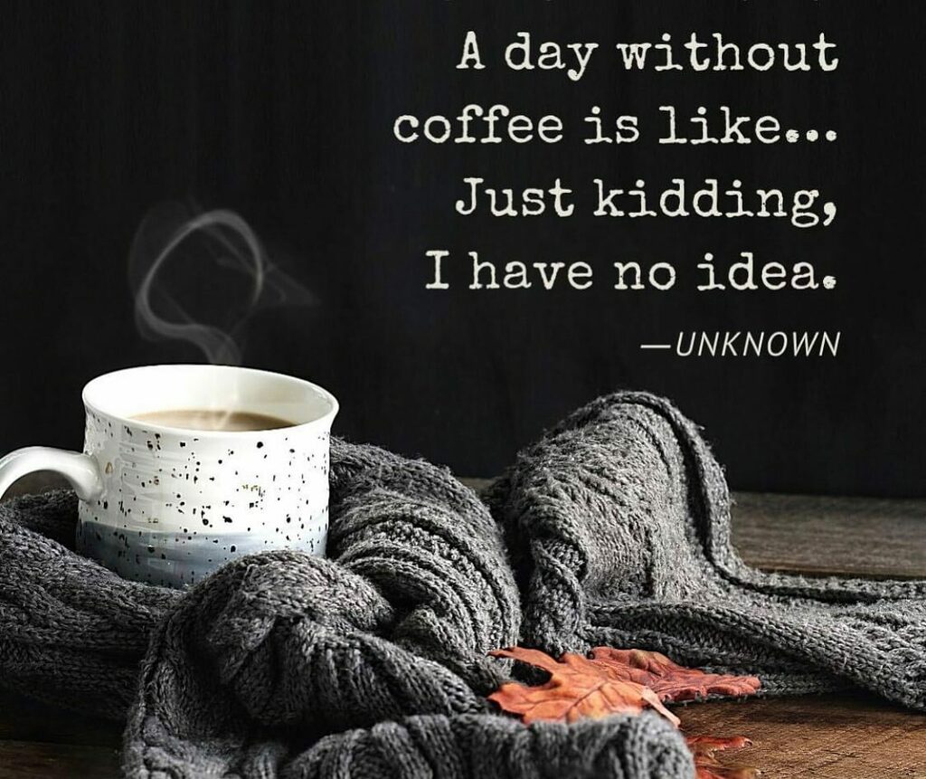 Mywholebean's tweet photo. Curl up, say goodbye to 2020 and welcome a new beginning each and every day. #coffee #caffeine #mywholebean #roastedbeans #americano #barista #baristadaily #winter #newyear https://t.co/btNVfPkOAX