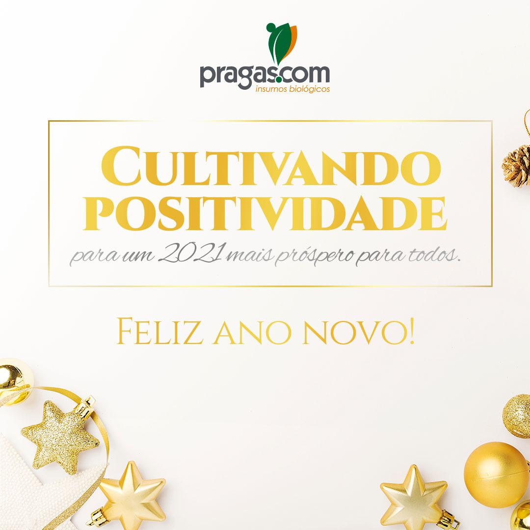 ➡Sim, cultive a positividade, pois em 2021 estamos esperando por dias melhores, de união, amor e saúde para todos. 

❗Nós da Pragas.com, desejamos um feliz ano novo, prosperidade e paz em todos os lares. 

🎉2021, feliz!