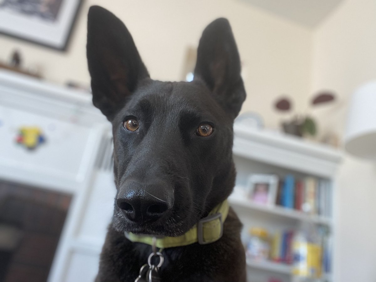 Megan Panatier tweet media