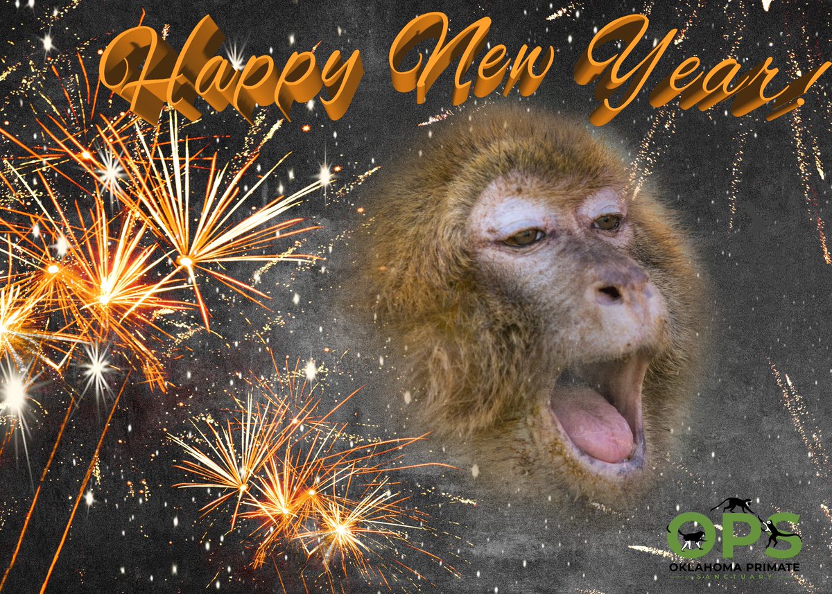 okprimates's tweet photo. Happy New Year Everyone! https://t.co/7KMFGMB7qz