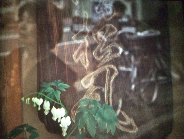 40. Junge Kiefern (Ute Aurand, 2011)