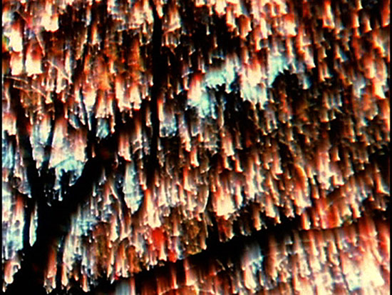 31. The Secret Garden (Phil Solomon, 1988)