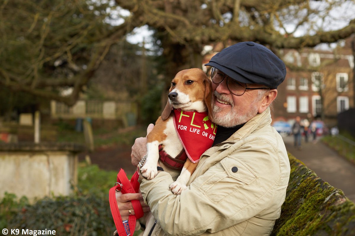 BetsyAmbassador's tweet photo. @PeterEgan6 @marcthevet What a beautiful photograph of this most gentle soul Cassie. Thank you Peter for being the best Patron in the world. Wishing you and Marc every happiness and success this coming year. 🙏❤️🐾
#HappyNewYear2021 #Dogs #DogBlessYou
#EDM250 #StopFalseScience #EndAnimalTesting https://t.co/nodZLGjzPT