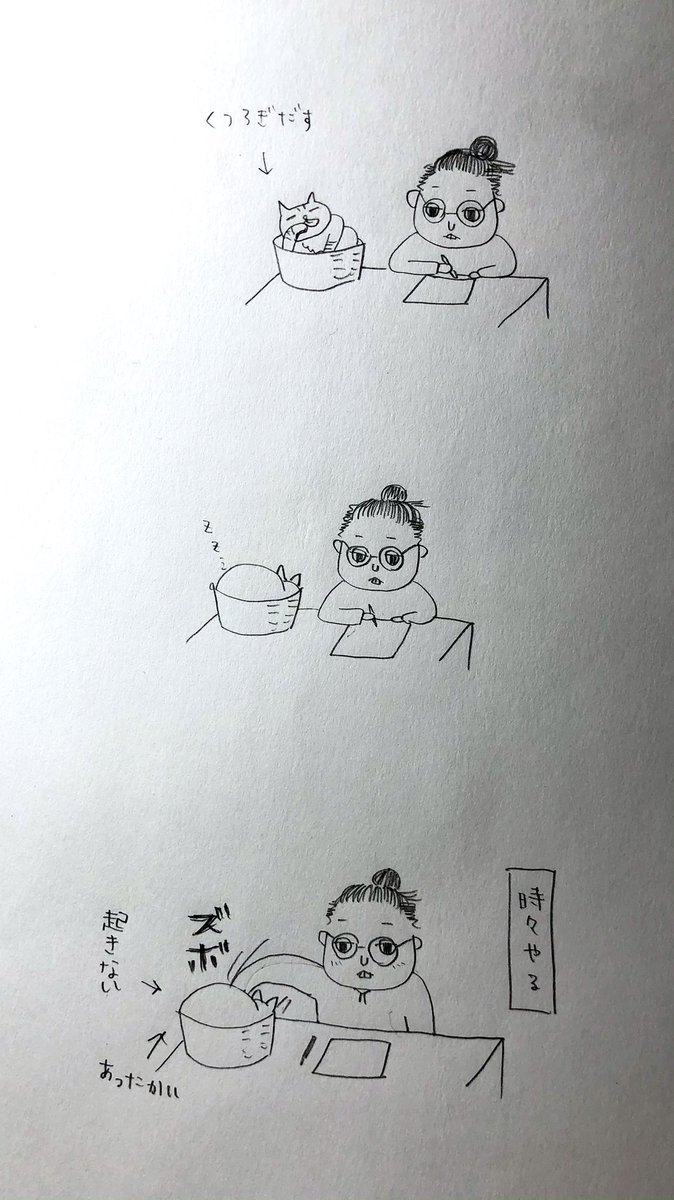 午後になると大体こうなる 