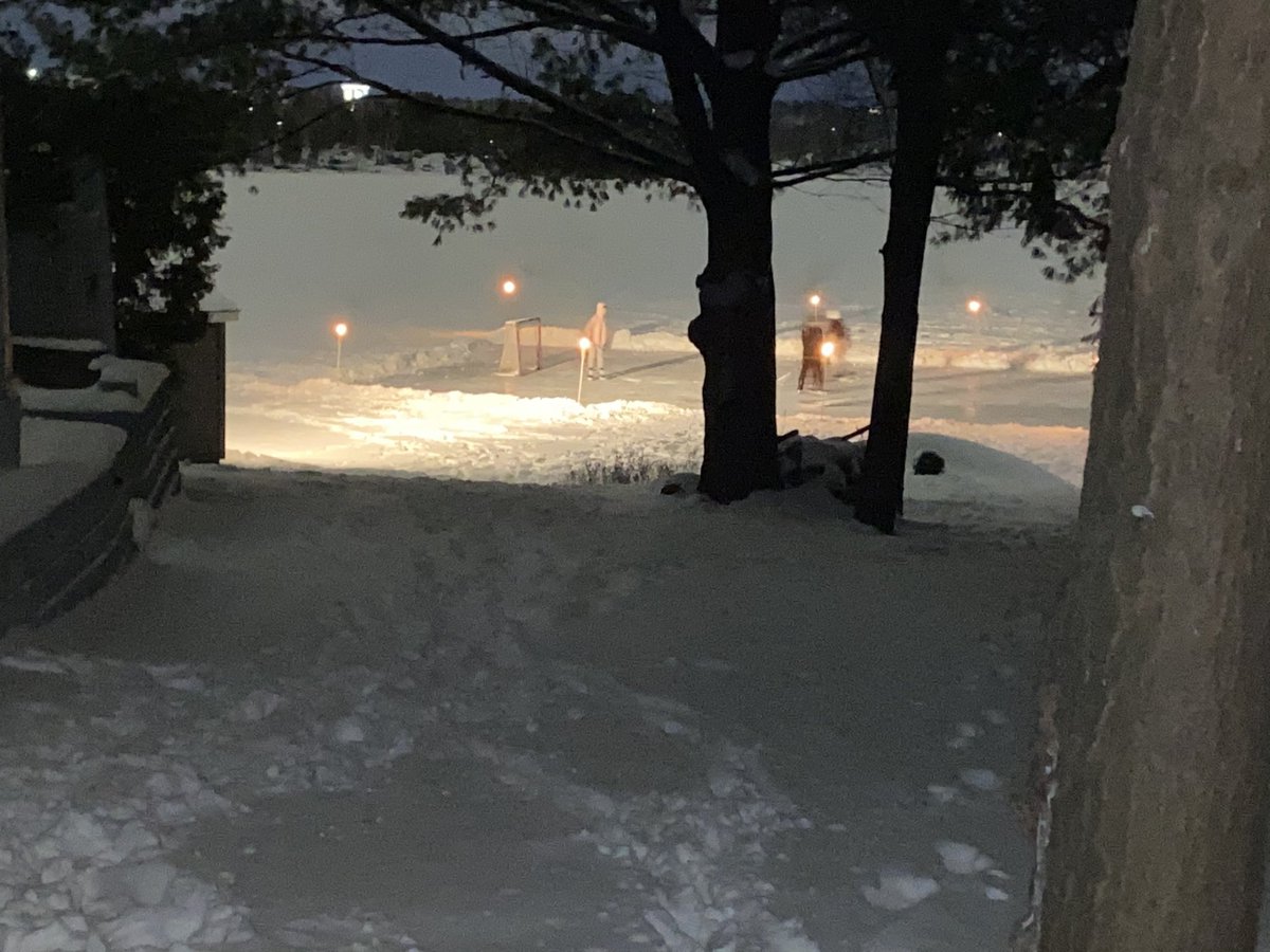 Todd Herold tweet media