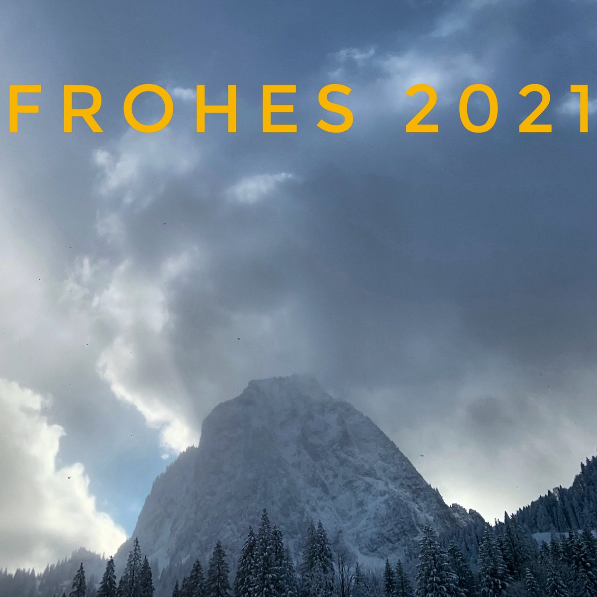 Open Mind Institute tweet media