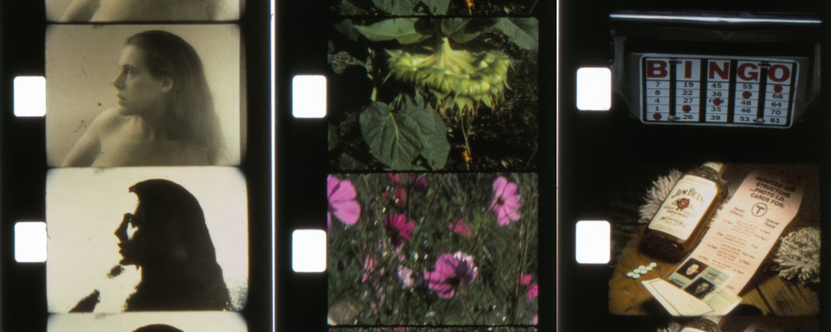 12. Five Year Diary (Anne Charlotte Robertson, 1981---) [excerpts]