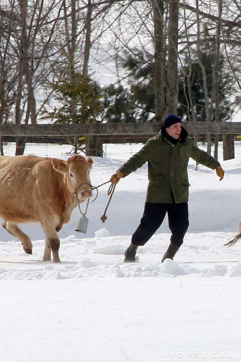 everydayrobert's tweet image. Happy new year my pals. A new photo for a new year