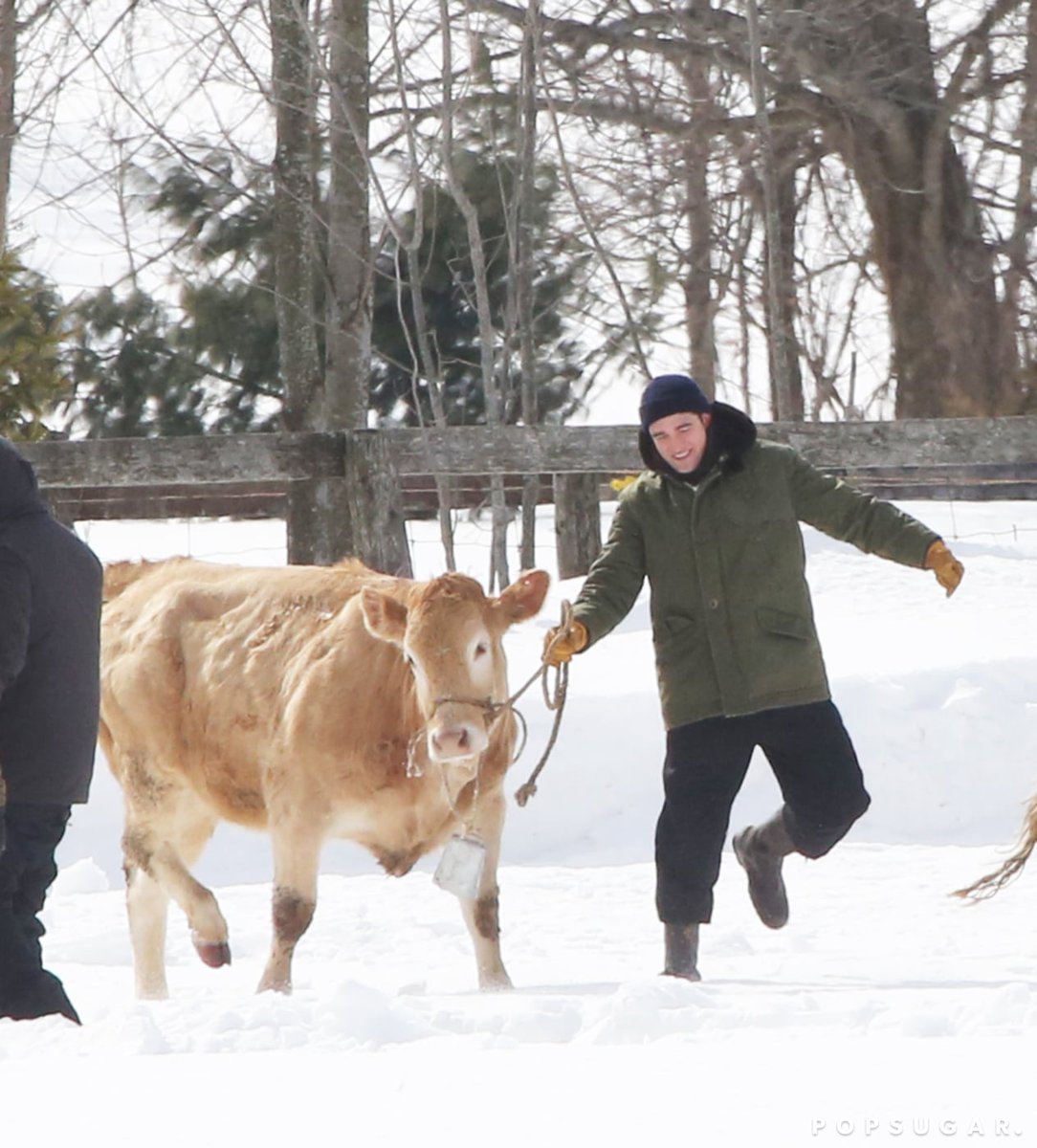 everydayrobert's tweet image. Happy new year my pals. A new photo for a new year