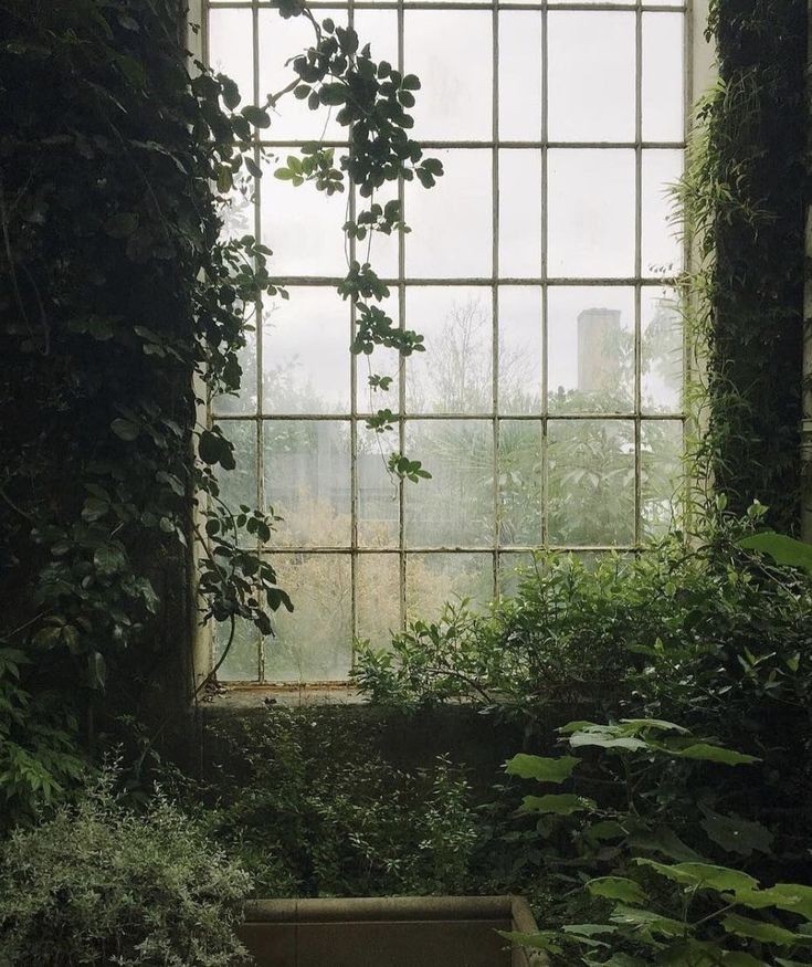 vibe_academia's tweet photo. Nature https://t.co/XgtkIVijfX