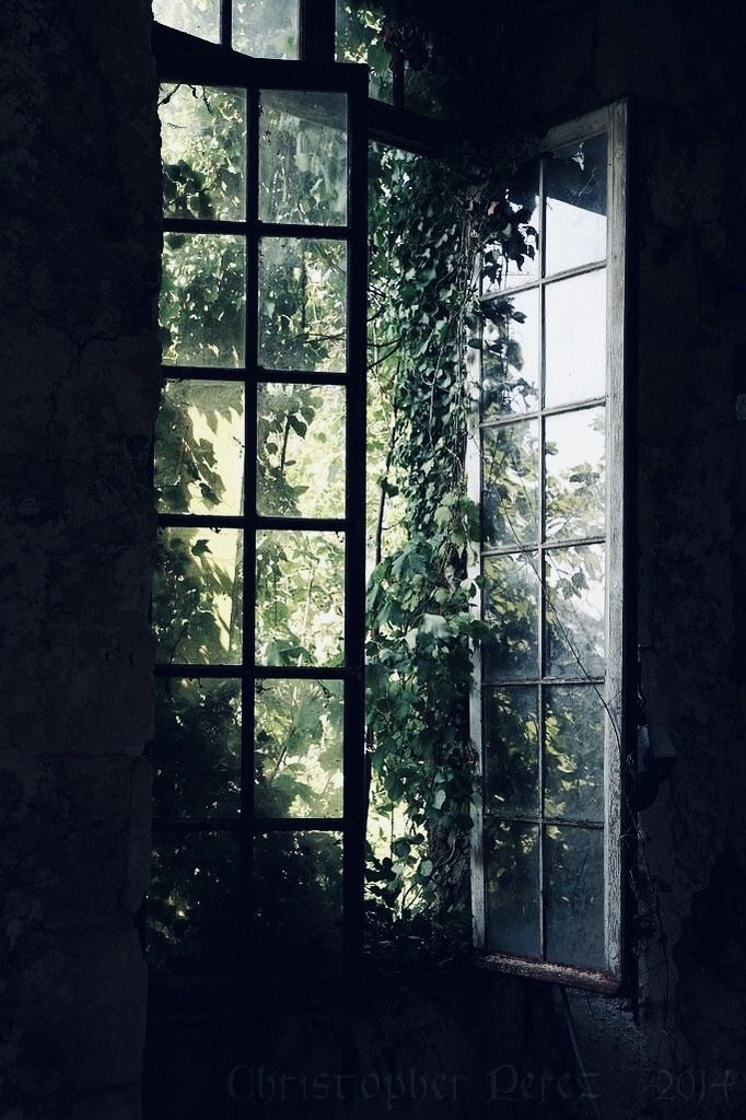 vibe_academia's tweet photo. Nature https://t.co/XgtkIVijfX