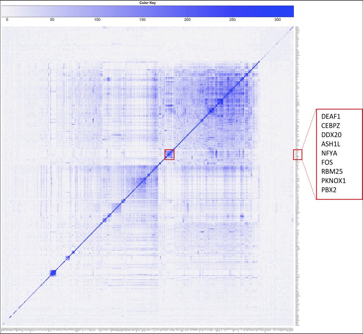 BioDecoded's tweet image. On the NF-Y regulome as in ENCODE (2019) | PLOS Computational Biology
journals.plos.org/ploscompbiol/a…
#ENCODE