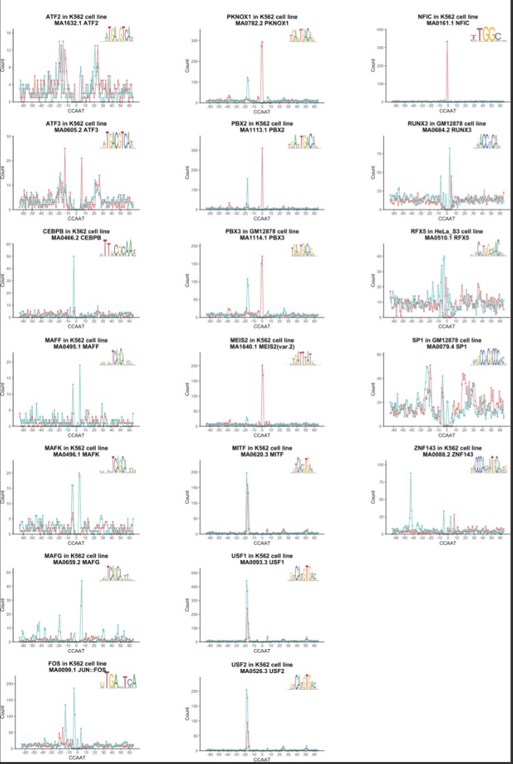 BioDecoded's tweet image. On the NF-Y regulome as in ENCODE (2019) | PLOS Computational Biology
journals.plos.org/ploscompbiol/a…
#ENCODE