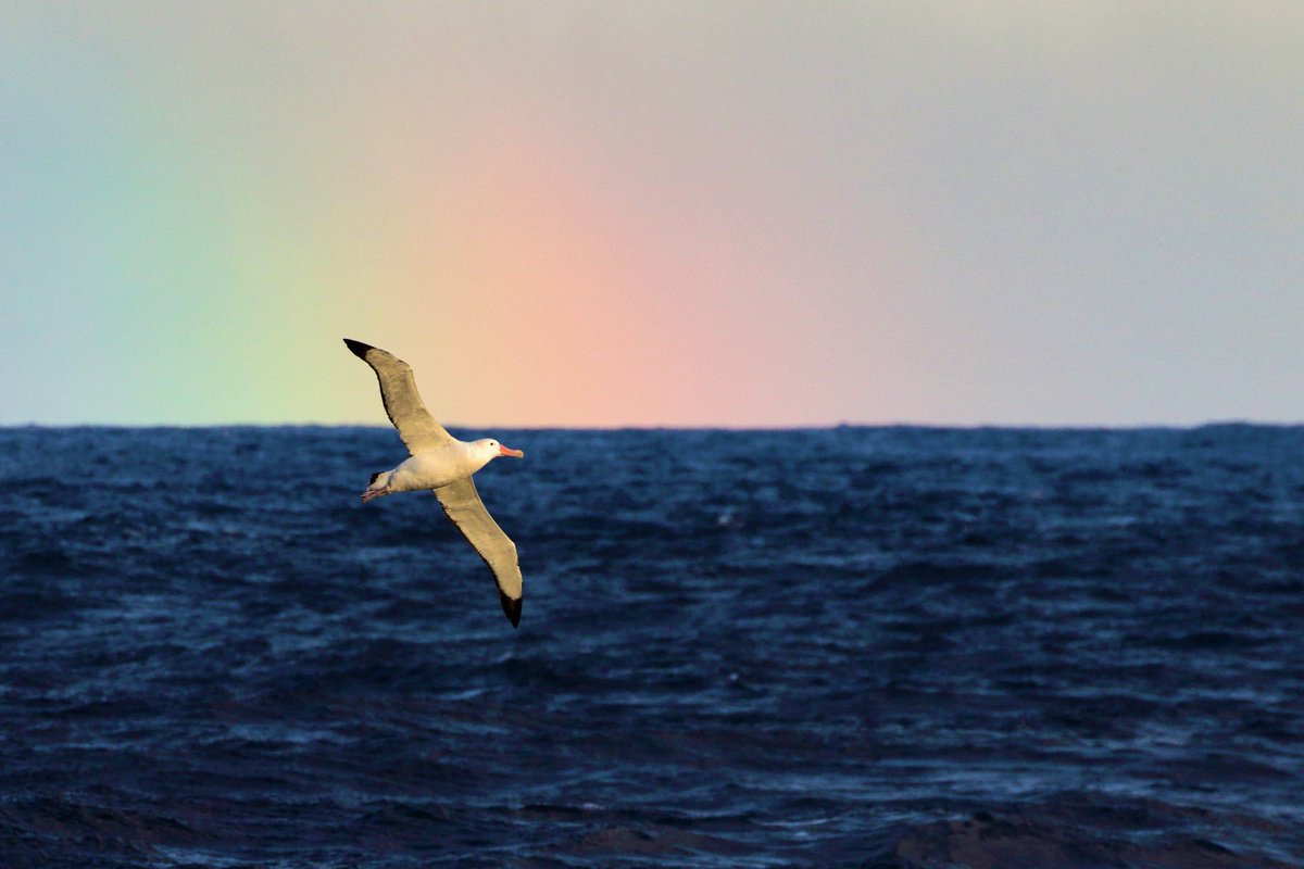 ukgovbluebelt's tweet photo. Happy New Year everyone! 🎉 Here's to 2021 and the start of the UN Decade of Ocean Science #OceanDecade #UNDOS #happynewyear 🌊 https://t.co/2oZC5F5Hf4