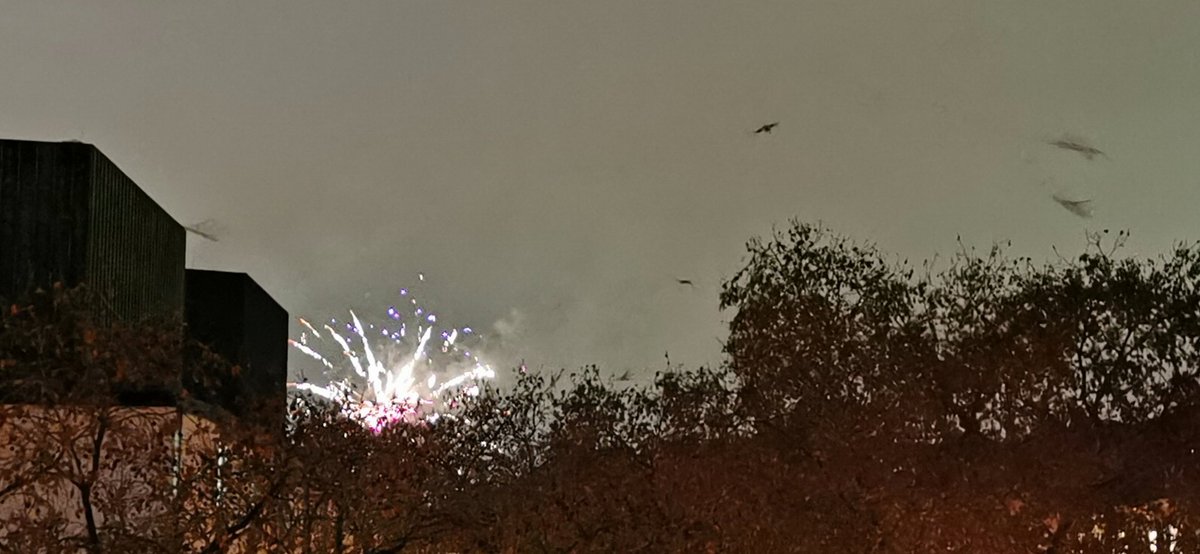 Feuerwerk in Mannheim... Happy 2021