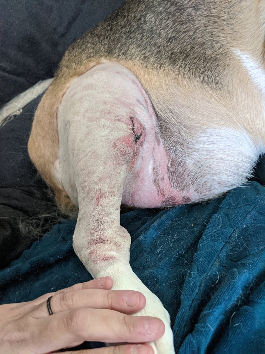 April was big surngery that my frens got me