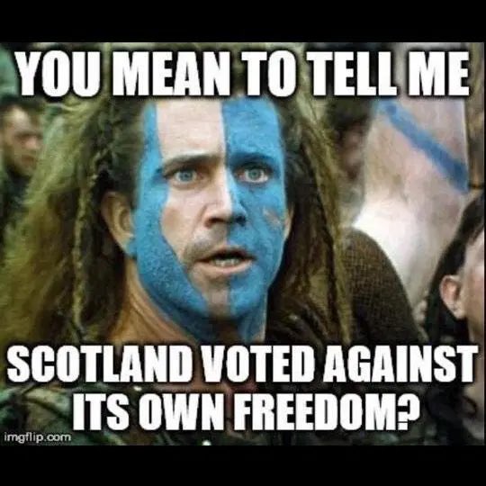 Postman86333446's tweet photo. @PaulRydel @RuleBrexitannia FUD lol, remember when you Sweaty Socks voted on independence https://t.co/9Wjey634j6