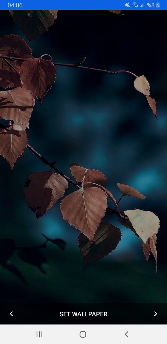 cemresolmaz0's tweet image. İyi yıllar