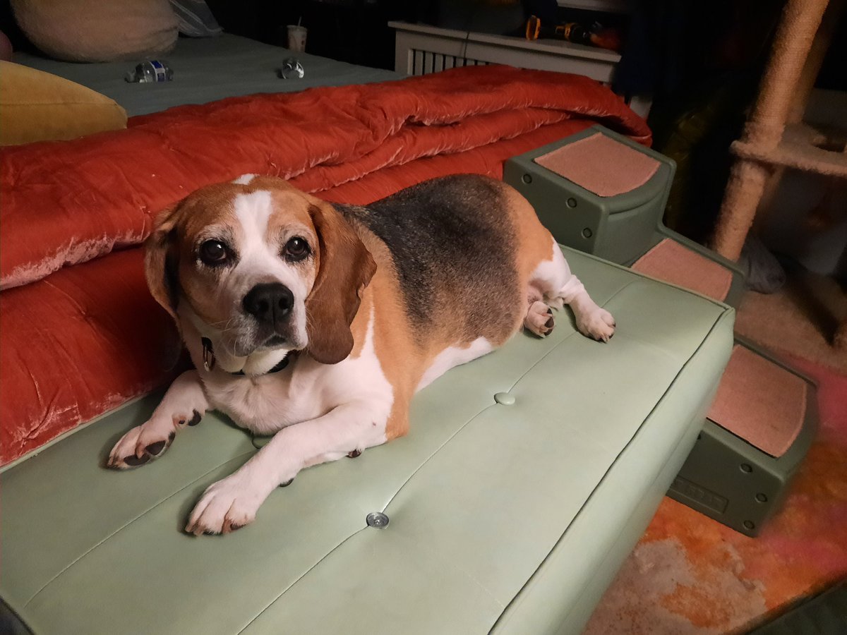 July was goob for just chilling