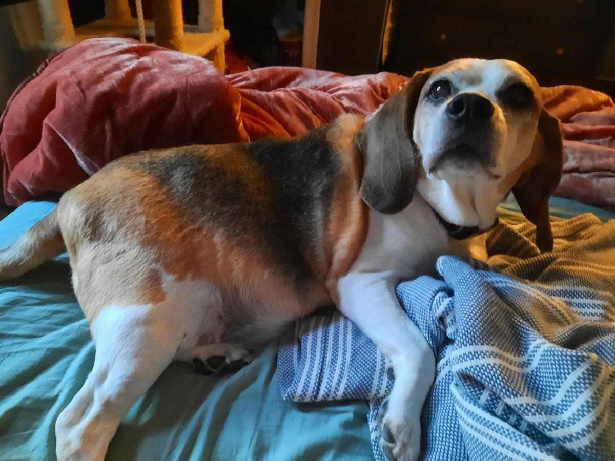 July was goob for just chilling