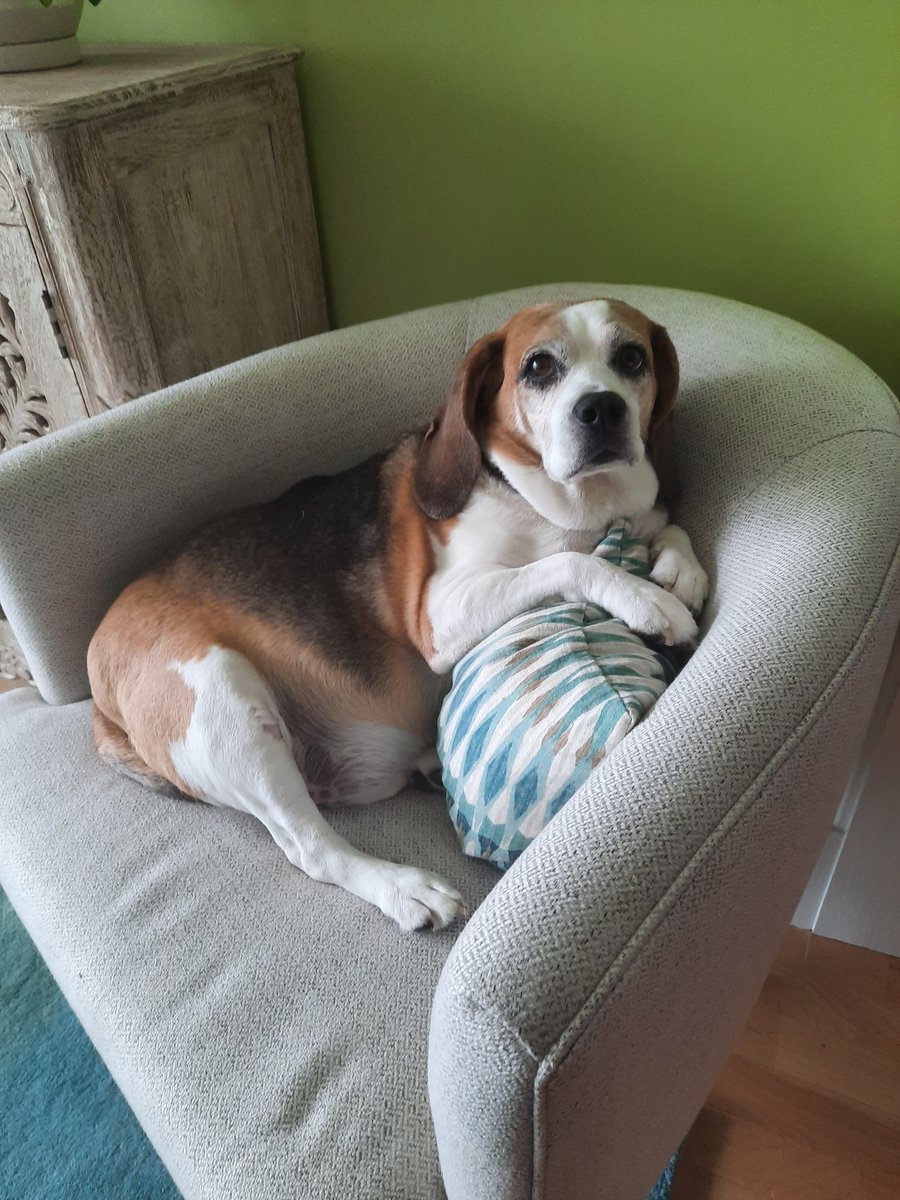 August i celembrated fren  @hazydoglady's birthday and hung out with Snacc Grandma