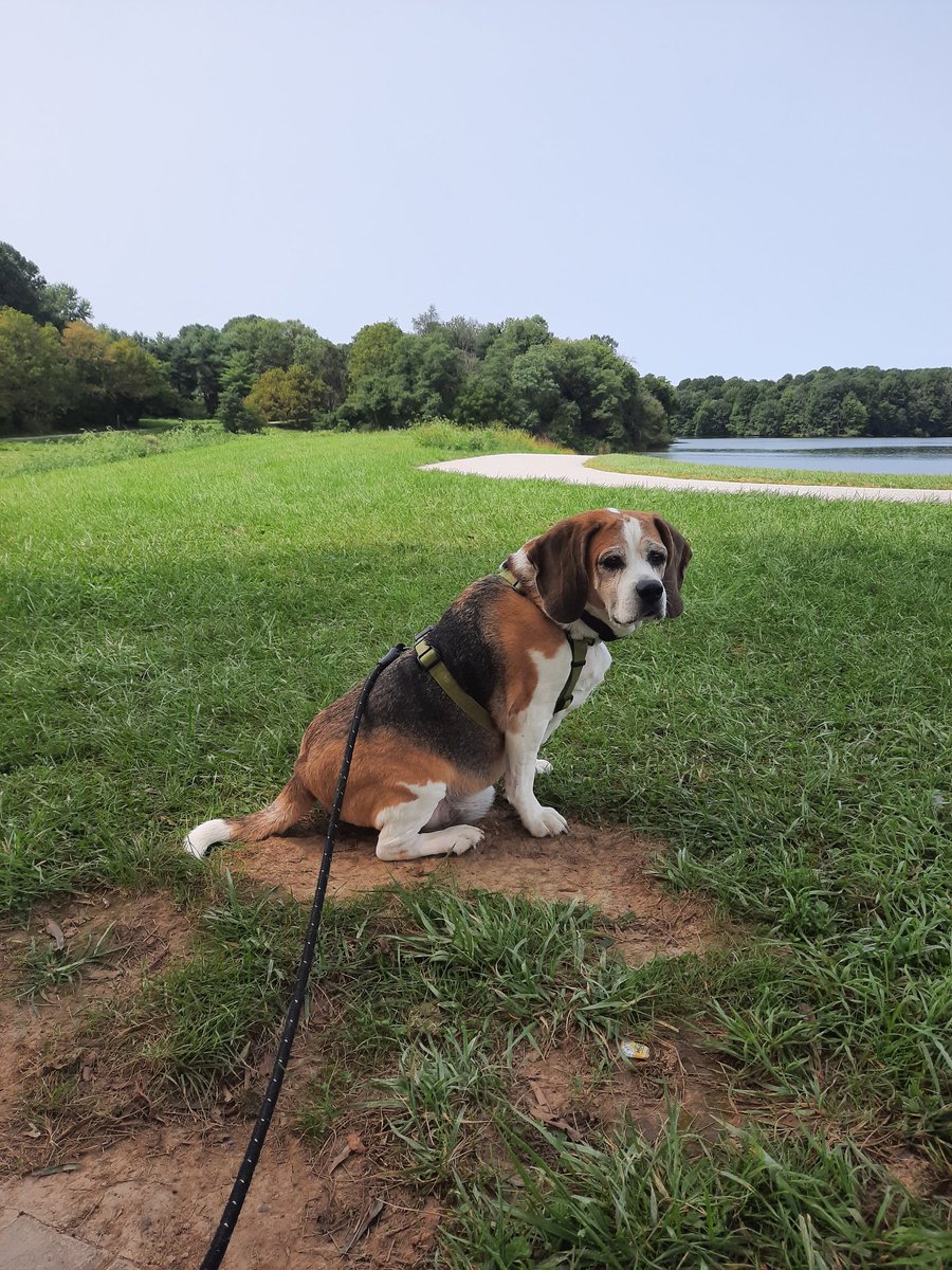 September, being noble