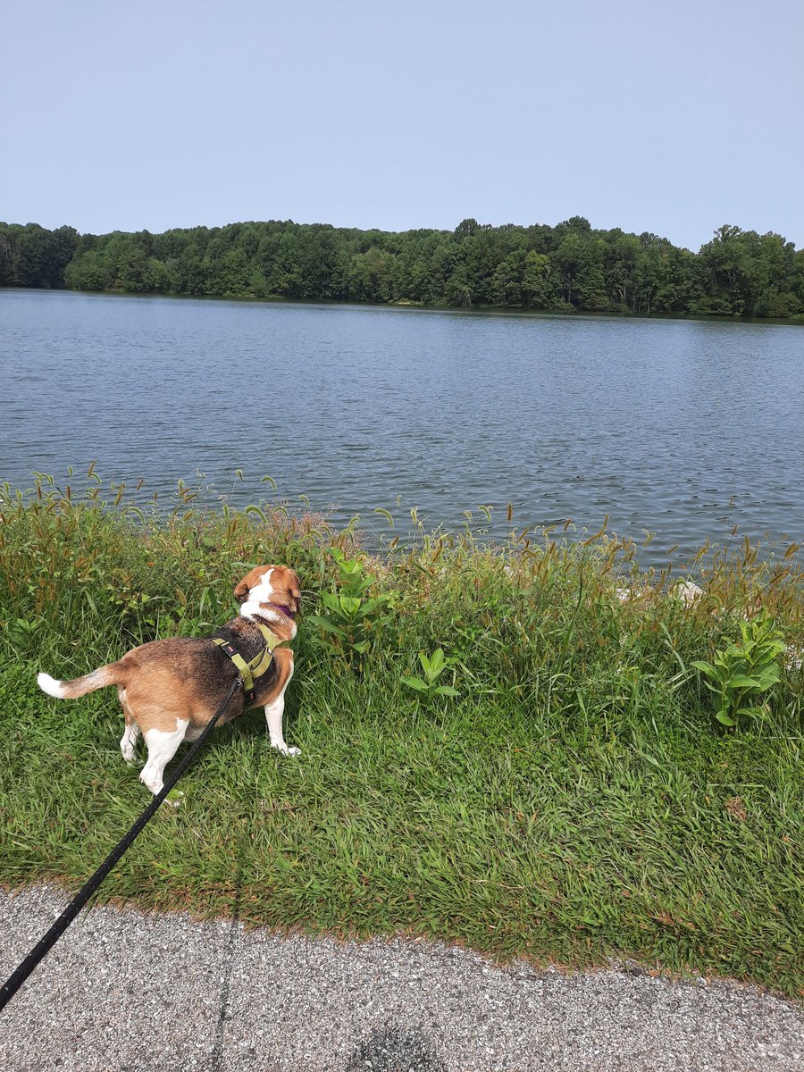 September, being noble