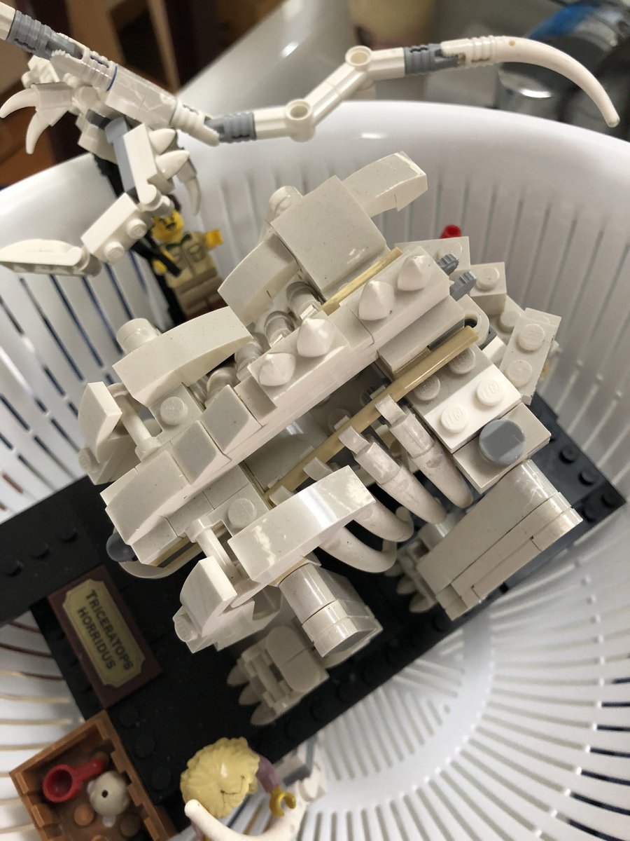 FGM_official's tweet photo. 火事で煤まみれのLEGOを引き続き洗っている。

ティラノのテクニックパーツが折れちゃってた…テクニックふだんあんまり触らないから分かんないけど、折れちゃうモンなのかな🤔？
とりあえず手持ちパーツでなおしたけど、足らないパーツは買おう。

あと、あけましておめでとうございます☺️

#LEGO https://t.co/Da0vazki98
