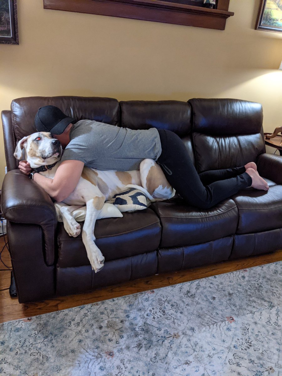 MitchellThilges's tweet photo. Everyone be drinking and partying their way into 2021, but I’m just cuddling dogs instead. Peace out 2020 ✌🏻 https://t.co/PMxPmtYwRm
