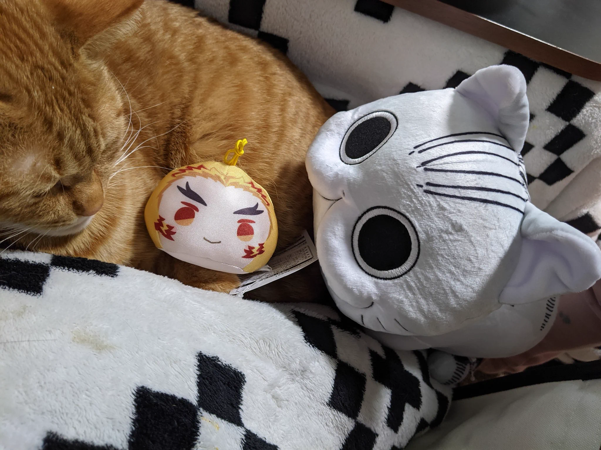 @kyuryuZ 解ります！！突然襲ってくるのでびっくりしますよね！！！（笑）
新年早々ゲットしてきましたー！！ 