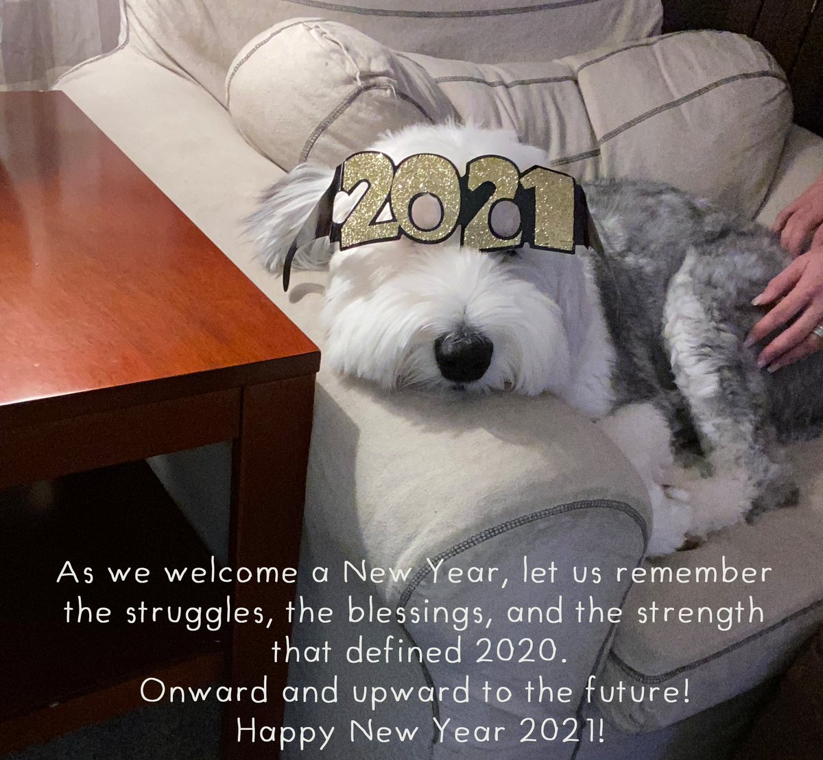 Shannon_A_IL's tweet image. 2020 was gnarly. Listen up, 2021...we have plans. #snuggleplans #familyplans #happyplans #onwardandupward #hello2021