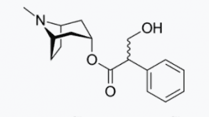 Global Pharmacist tweet media
