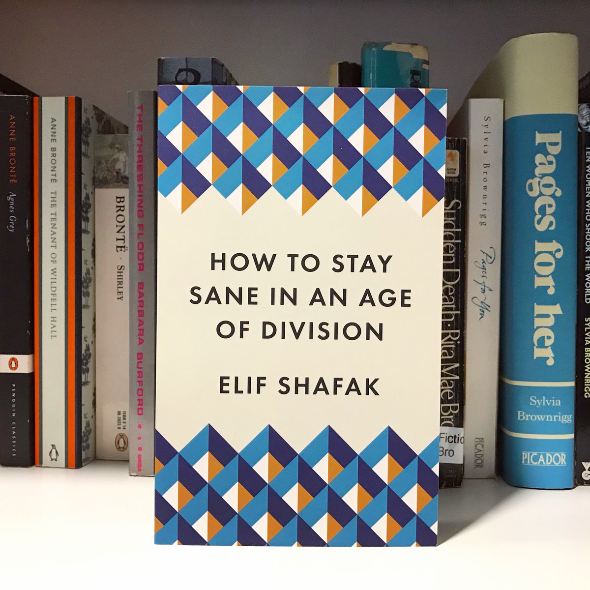 My first book of 2021 could not be more relevant or uplifting: How to Stay Sane in an Age of Division, by  @Elif_Safak. Social commentary written with poetic insight. Champions plurality of thought.