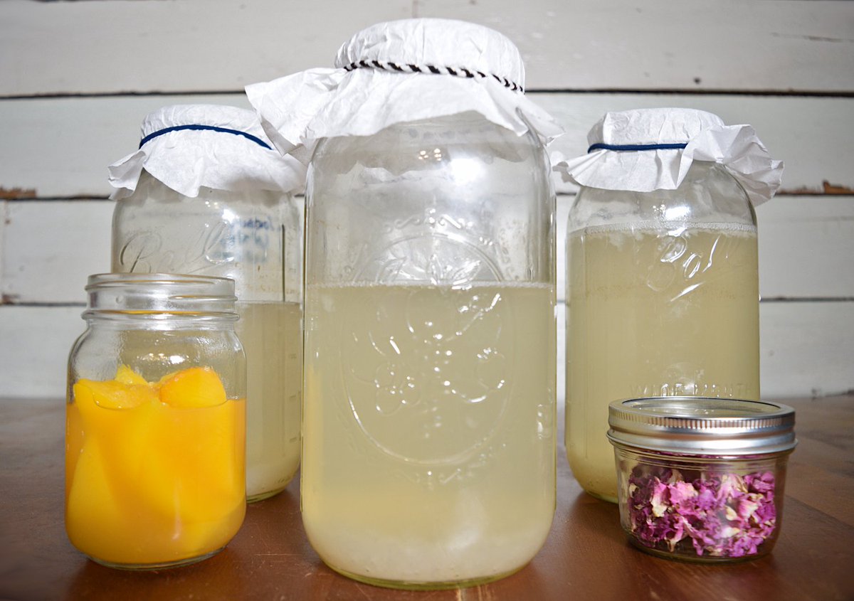 Hello Isabelle from 5 Wild Flowers here! 👋 Share your water kefir creations with me by using the hashtag #5WildeWaterKefir and tagging us!

Head over to https://.5wildeflowers.com to read my Water Kefir blog series! I walk you through brewing and flavoring it! 😀