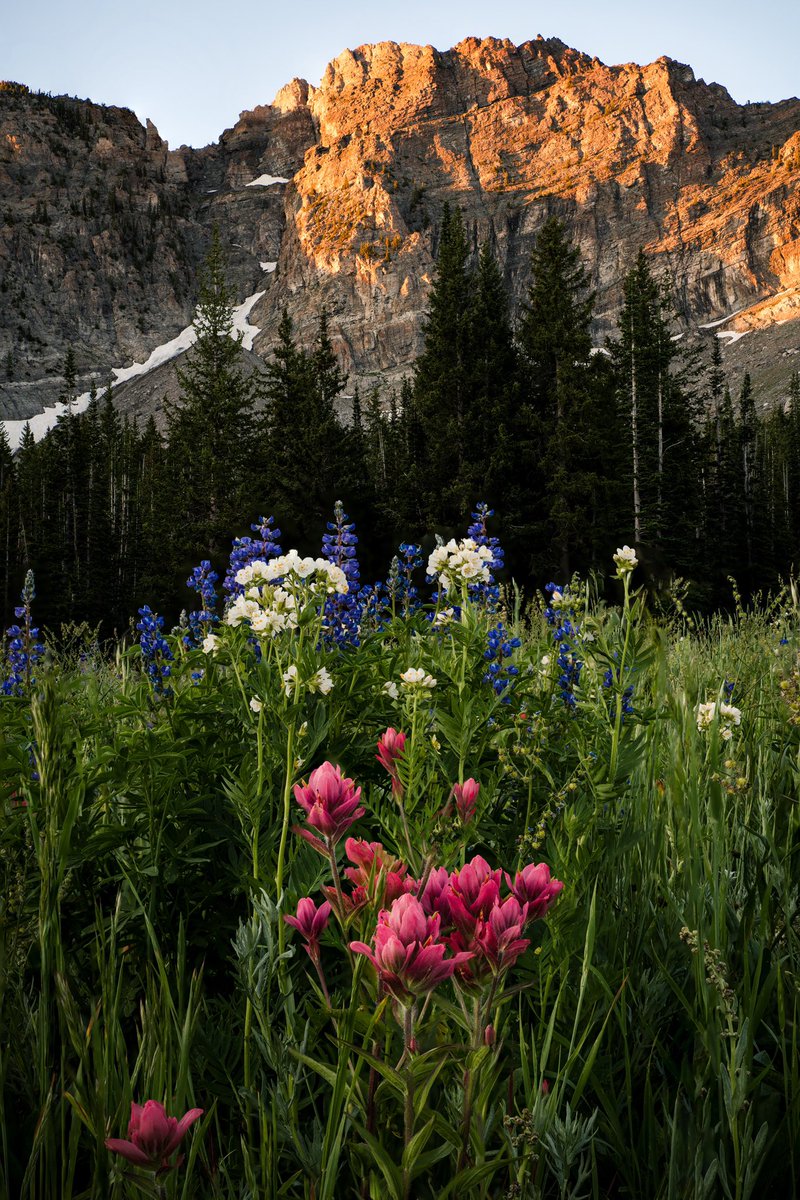 MattBothell's tweet image. My 4 favorite photos I took in 2020.