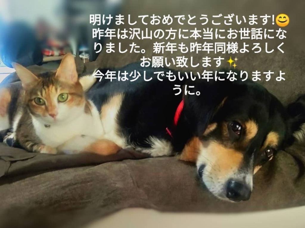 佐世保ネイル 吉田 Saseboneiru123 Twitter