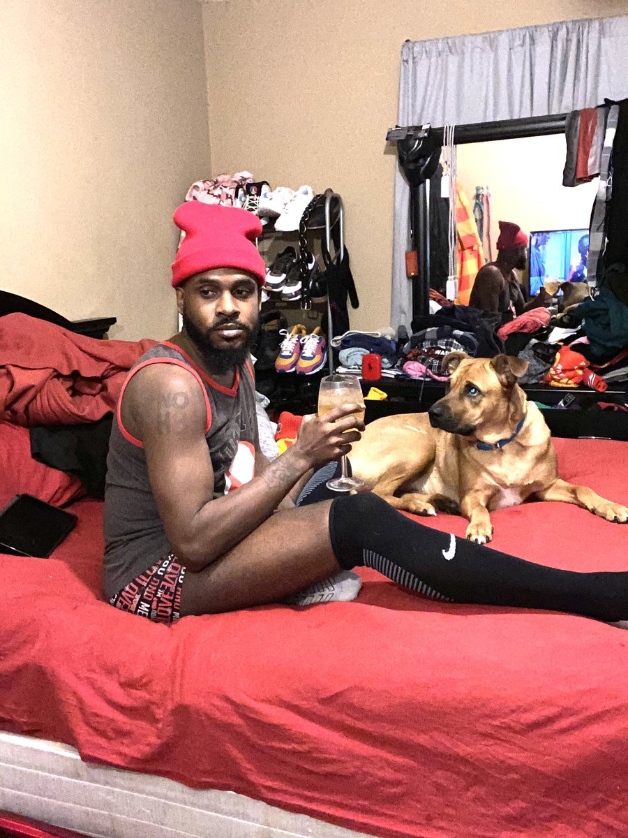 dapooch84's tweet image. 