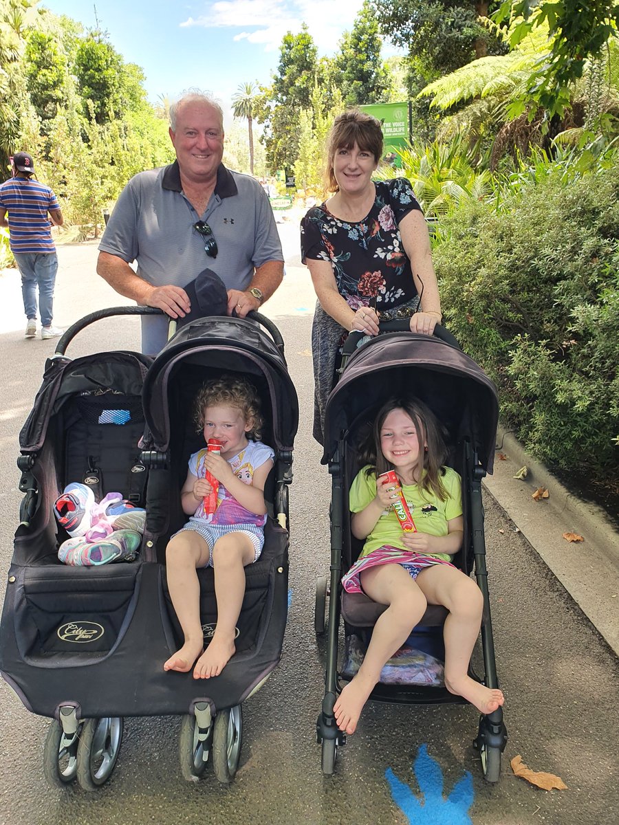 Great day <a href="/MelbourneZoo/">Melbourne Zoo</a> with the grandkids