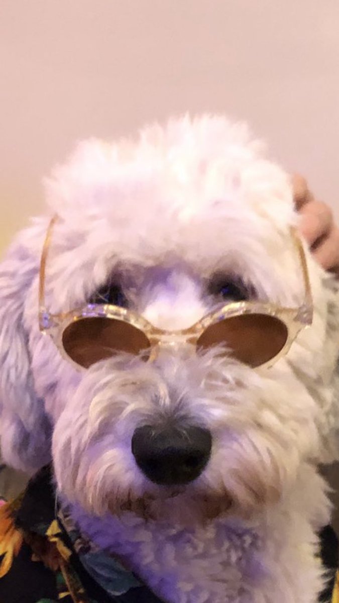 when someone says that’s 2020 hasn’t been that bad