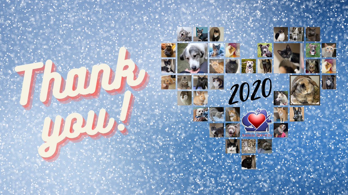 Thank you for your support over this past, crazy year! jointanimalservices.org/thank-you-2/