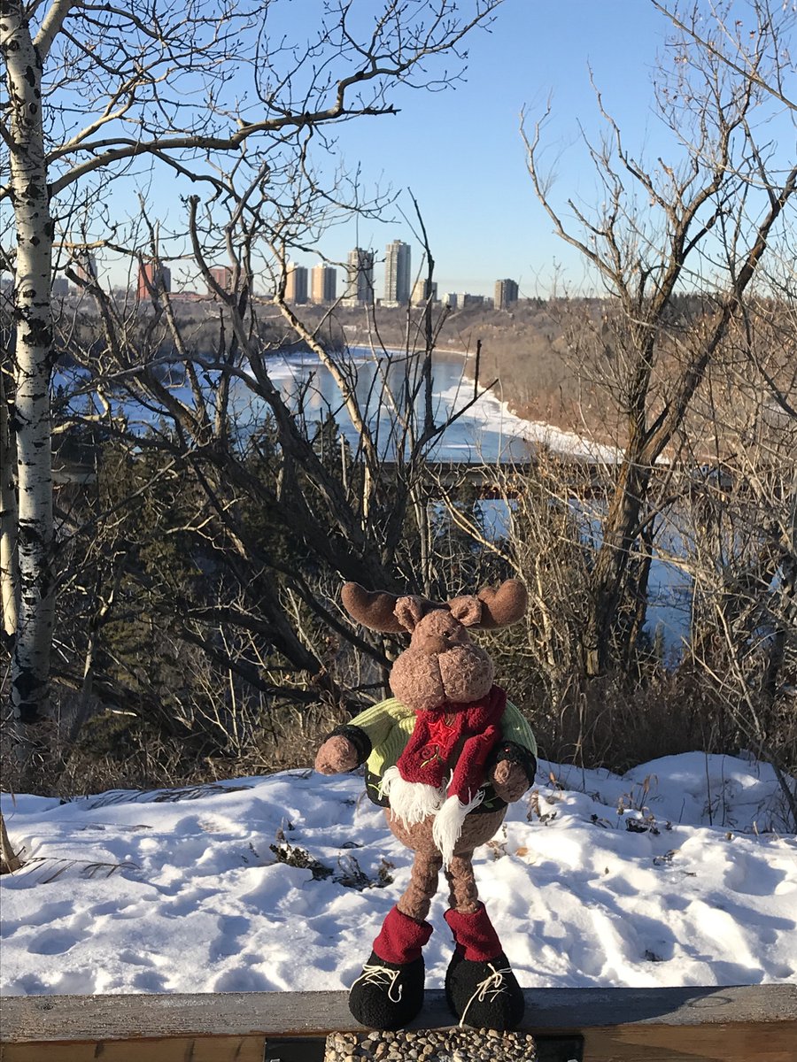 Chrizul's tweet photo. @Paulatics I want a home in Edmonton for ChrisMoose,
Only a home in Edmonton will do,
Don't want a house,
No dinky condo home,
I want a home in Edmonton to ply in and to roam.

(caution:  singing this may cause an earworm)
#yegquest #12DaysofHenday https://t.co/kYDx8TSrGn
