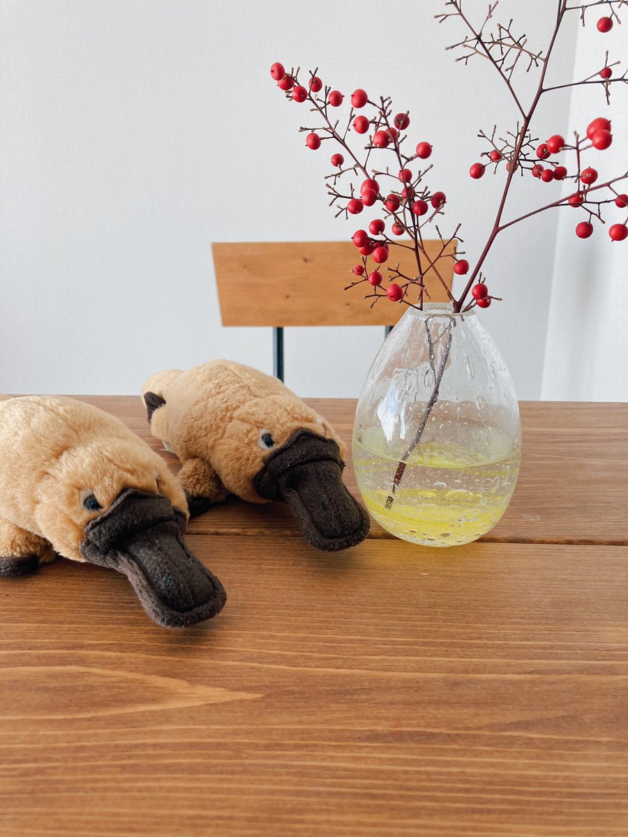 かものはしちゃん 21年もよろしくお願いしますなかものはし カモノハシ イラスト好きな人とつながりたい Platypus