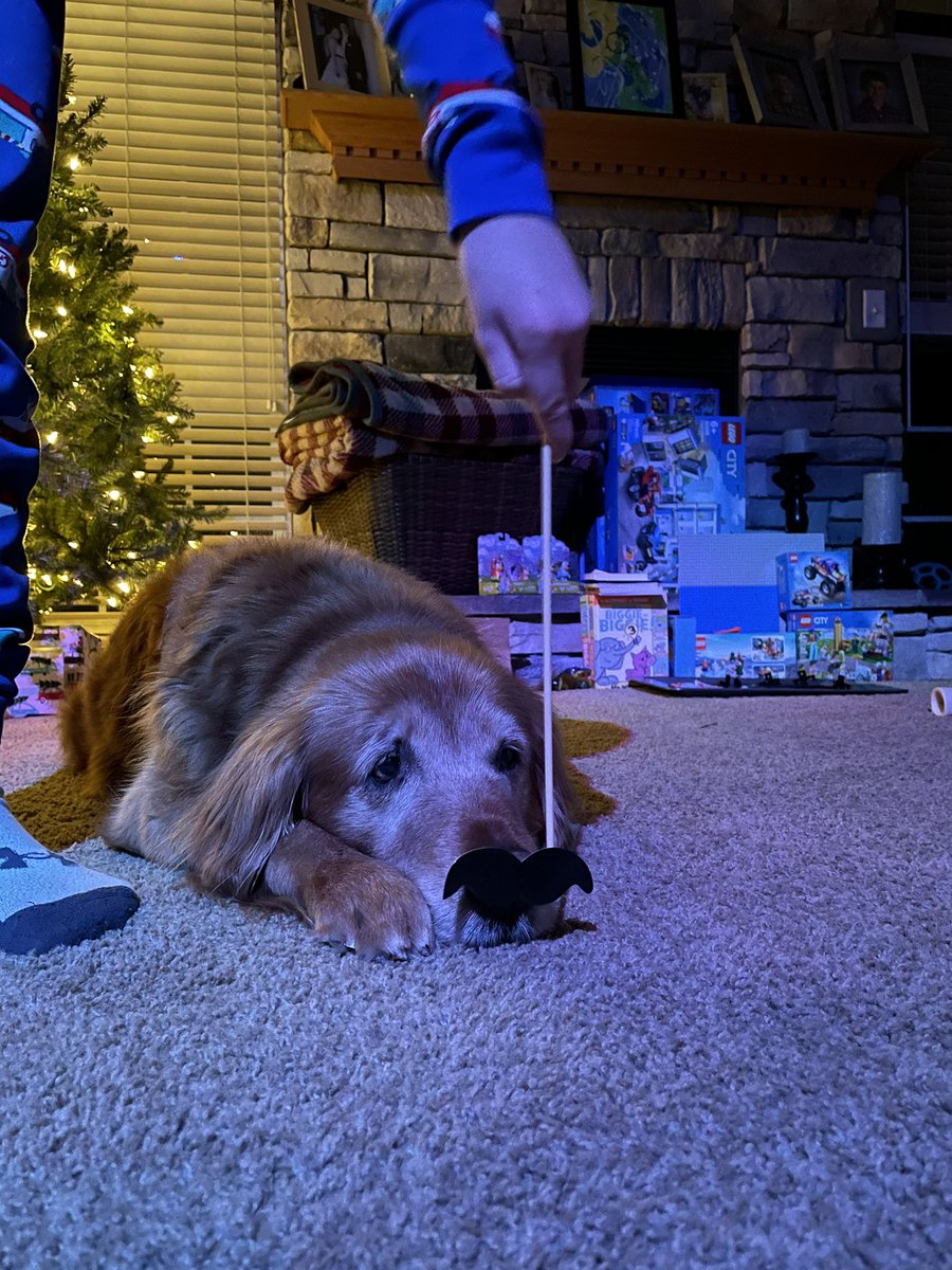 TourdeShadow's tweet image. Happy New Year from my crazy crew! #Shadtastic #brothers #HAPPYNEWYEAR