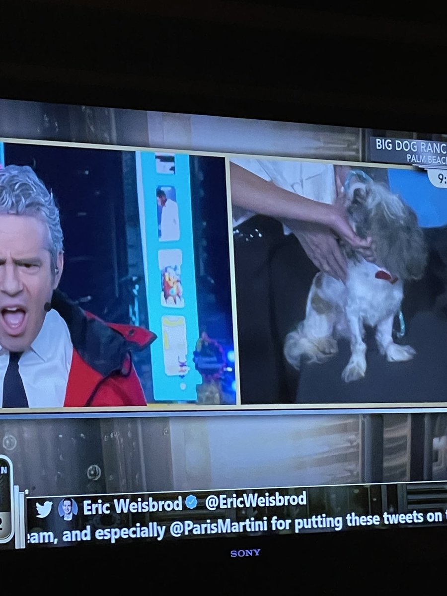 bangert_grace's tweet photo. In crine. “This is your doppelgänger”⁦@Andy⁩ #CNNNYE https://t.co/NBMvCfgJcT