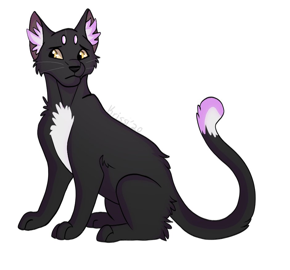 I feel bad about my art so I'm going to show you guys a thread of all the  #warriorcats art I did this year.I've never drawn cats before this so honestly? I'm kind of proud of the progress I've done with them.